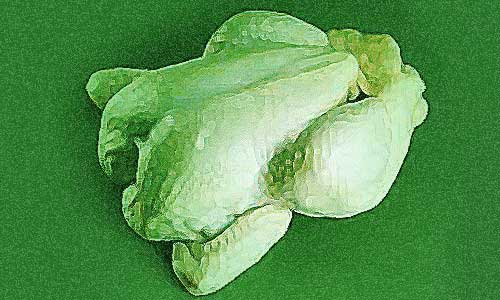 Ghost of Frozen Chicken Ghost of Frozen Chicken