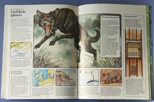 Usborne Book of the Unknown: Ghosts Usborne Book of the Unknown: Ghosts