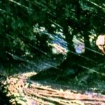 Raise A Glass To Robert Burn's Tam o'Shanter 1