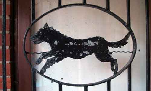 black shuck