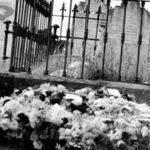 The Overcrowded Afterlife 1 The Overcrowded Afterlife 1