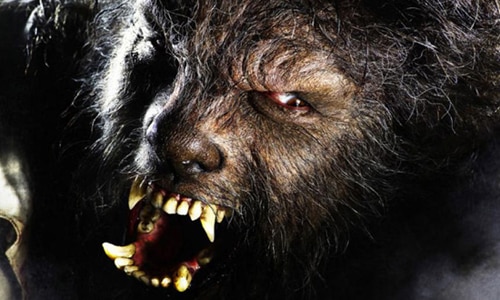 Benecio Del Toro as The Wolfman 2010