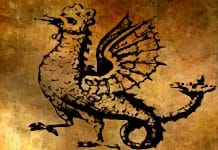 Cockatrice