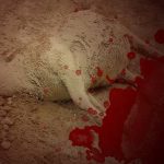 St Endelienta Brought Cows Back To Life! 1