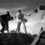 Grave Robbing