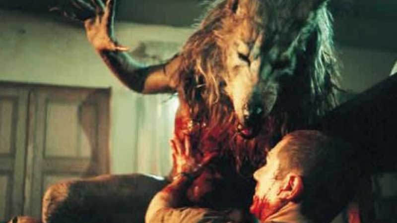 Dog Soldiers 2002