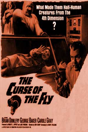 Curse of the Fly