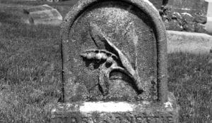 What Do Grave Flowers Tell Us? 1