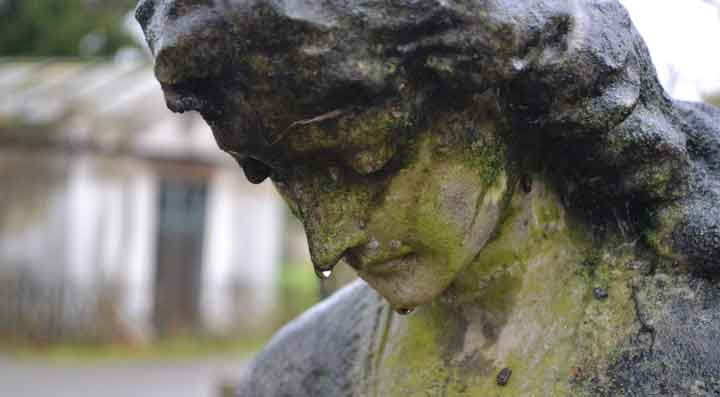Rainy day in Brompton Cemetery