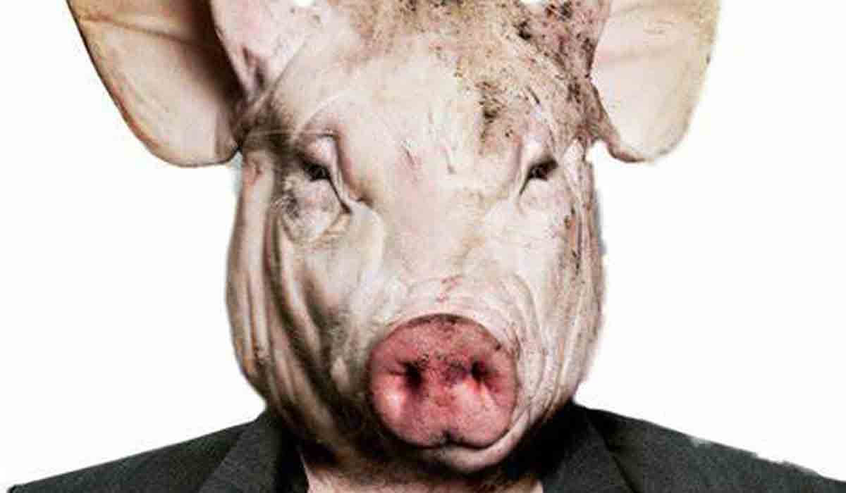 The Pig-Man Roams Cannock Chase