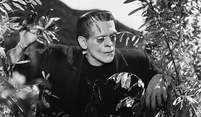 Frankenstein 1931 - the best of the Boris Karloff films?
