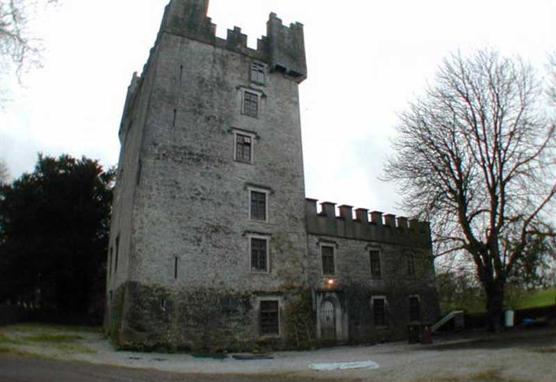 Castle Matrix, Rathkeale