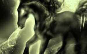 Puca