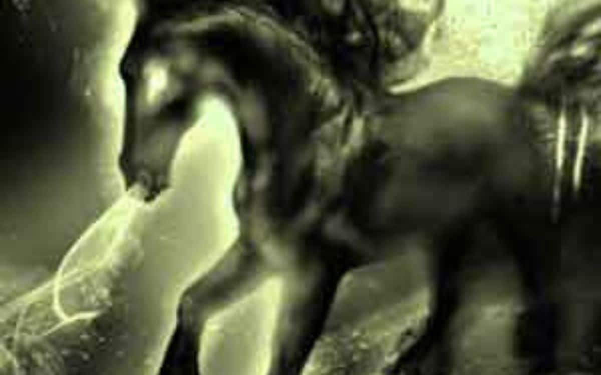 PĂºca, Ireland’s Fearsome Shapeshifter that chills the blood!