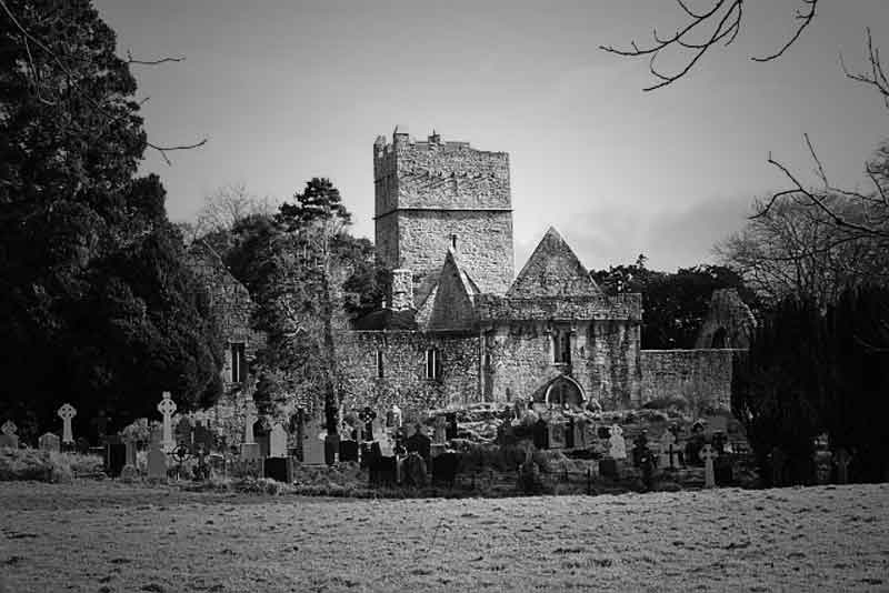 Muckross Abbey, Killarney