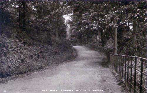 Postcard of Haunted Stradley Woods, Llanelli