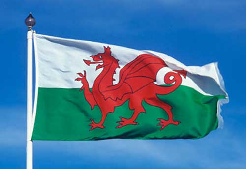 Welsh Dragon