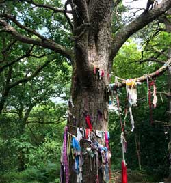 Fairy Tree reputedly haunted by the spirit of Robert Kirk