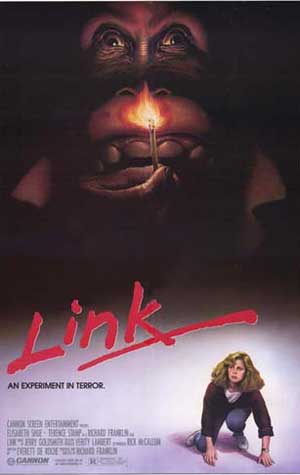 Link (1986) Link (1986)