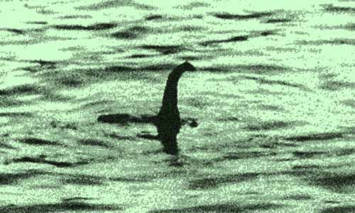 A photo of the Loch Ness Monster?