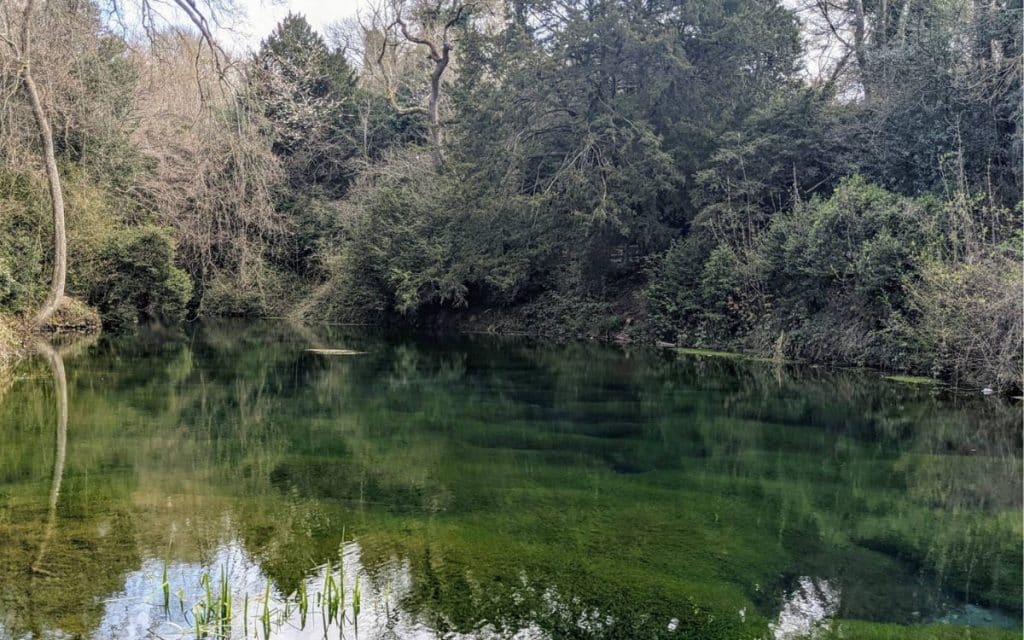 The Silent Pool's Legacy Of Medieval Surrey Murder | Spooky Isles