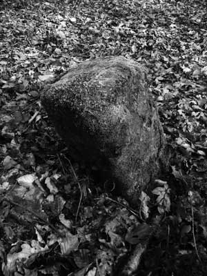 Site Marker Stone of the Chapel of William of Norwich