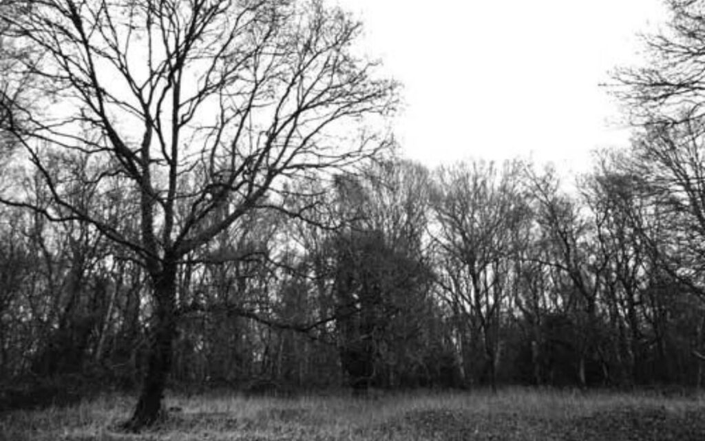 The Boy Martyr Of The Woods 1 Site of the Chapel of William of Norwich