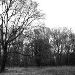 Site of the Chapel of William of Norwich
