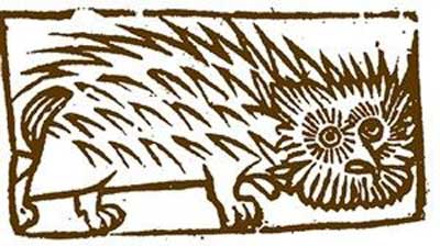 Elizabeth Stile, The Witch Of Windsor Who Loved Being Bad! 3 A Hedgehog Familiar