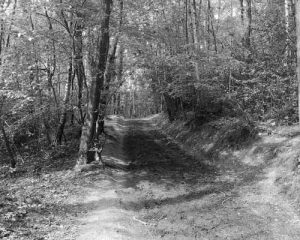 Royal Tunbridge Wells: 5 Haunted Places to Visit 5 Hurst Wood Royal Tunbridge Wells