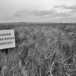 Marshland outside Dunwich