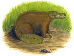 9 Weird Welsh Mythical Creatures That'll Blow Your Mind! 5 Yr Afanc