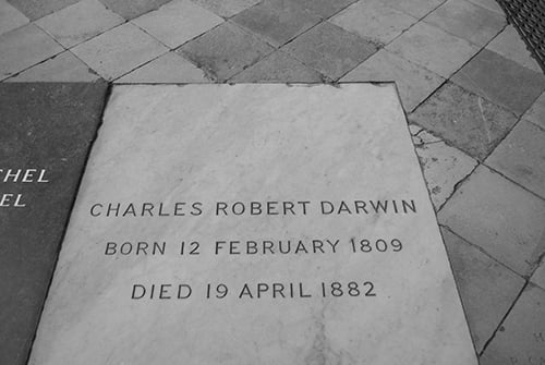 Charles Darwin's Grave