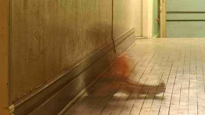 Ghosts and the Experiences of Children 1 Children and ghosts: Why do they see them?