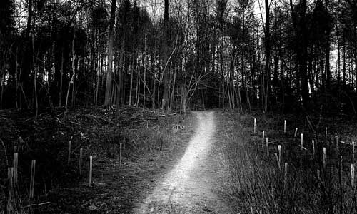 Pughs Wood, in Penn, Buckinghamshire where a late night metal detectionist heard the laughter of Ghostly Children.