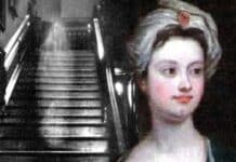 Brown Lady of Raynham Hall