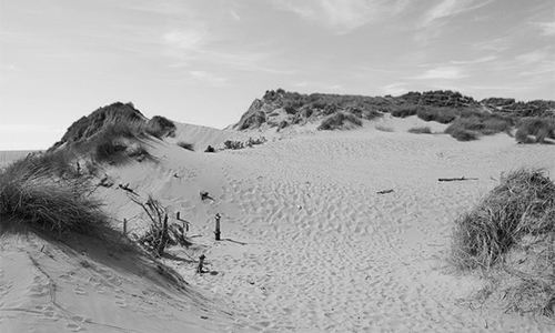 Formby Sand Dunes