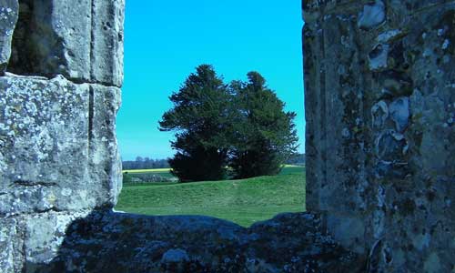 Knowlton Henge Knowlton Henge