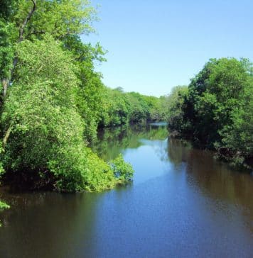 The River Conwy at Betws y Coed