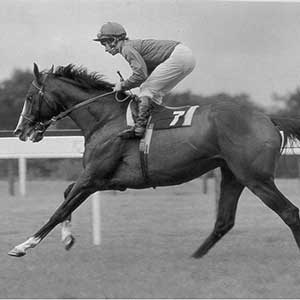 Shergar