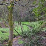 boggart hole clough - what is a boggart?