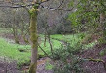boggart hole clough - what is a boggart?