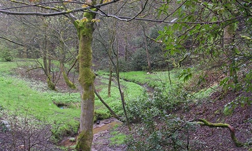 boggart hole clough - what is a boggart?