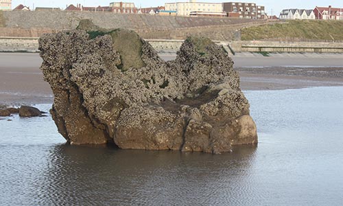 The Sea Tombed Village of Singleton Thorpe
