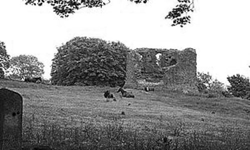 Carra Castle, County Antrim