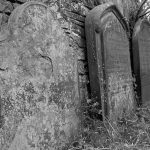 Curse of the Brampton Witch's Tea Set 3