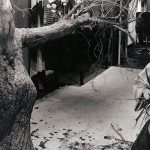 Tales That Witness Madness 1973 REVIEW 3