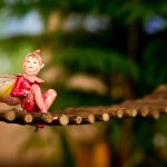 Co-operating with Fairies