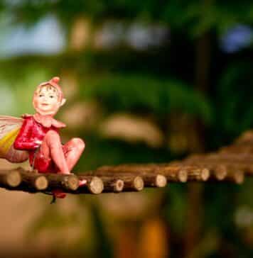 Co-operating with Fairies