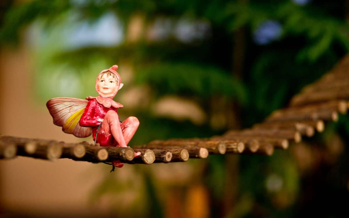 The Art of Co-Operating With Fairies